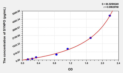 Human SYNPO(Synaptopodin) ELISA Kit