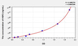 Human HSF2(Heat Shock Transcription Factor 2) ELISA Kit 96T*5