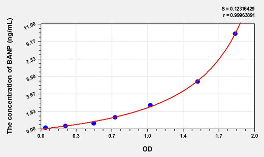 Human BANP(BTG3 Associated Nuclear Protein) ELISA Kit