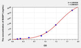 Human BASP1(Brain Abundant, Membrane Attached Signal Protein 1) ELISA Kit 96T*5