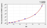 Human SNAI1(Snail Homolog 1) ELISA Kit