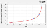 Human SHP(Small Heterodimer Partner) ELISA Kit 96T*5