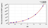 Mouse CASP1(Caspase 1) ELISA Kit 96T*5