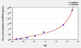 Human DPP8(Dipeptidyl Peptidase 8) ELISA Kit 96T*5