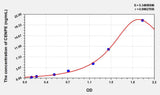 Human CENPE(Centromere Protein E) ELISA Kit 96T*5