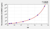 Human ADRbK1(Adrenergic Receptor Beta Kinase 1) ELISA Kit 96T*5