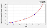 Human SRY(Sex Determining Region Y) ELISA Kit 96T*5