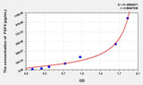 Cattle FGF4(Fibroblast Growth Factor 4) ELISA Kit