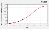 Rat BNIP3(Bcl2/Adenovirus E1B 19kDa Interacting Protein 3) ELISA Kit