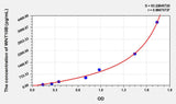Human WNT10B(Wingless Type MMTV Integration Site Family, Member 10B) ELISA Kit