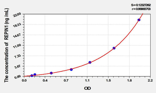 Mouse REPIN1(Replication Initiator 1) ELISA Kit