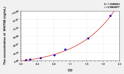 Human WNT5B(Wingless Type MMTV Integration Site Family, Member 5B) ELISA Kit