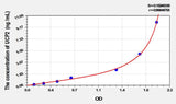 Rat UCP2(Uncoupling Protein 2, Mitochondrial) ELISA Kit