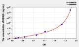 Human RBM20(RNA Binding Motif Protein 20) ELISA Kit