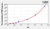 Rat PPM1A(Protein Phosphatase, Mg2+/Mn2+ Dependent 1A) ELISA Kit