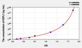 Mouse SGPL1(Sphingosine 1 Phosphate Lyase 1) ELISA Kit