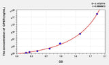 Mouse GPER(G Protein Coupled Estrogen Receptor 1) ELISA Kit