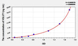 Mouse VGLUT1(Vesicular Glutamate Transporter 1) ELISA Kit