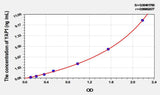 Mouse YAP1(Yes Associated Protein 1) ELISA Kit