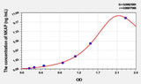 Rat NKAP(NFKB Activating Protein) ELISA Kit