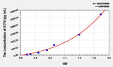 Rat ATF4(Activating Transcription Factor 4) ELISA Kit
