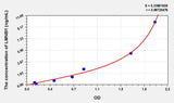 Human LMNB1(Lamin B1) ELISA Kit