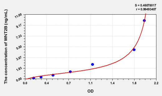 Human WNT2B(Wingless Type MMTV Integration Site Family, Member 2B) ELISA Kit