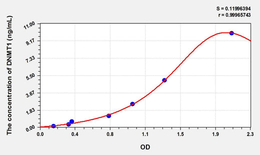Rat DNMT1(DNA Methyltransferase 1) ELISA Kit