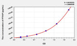 Mouse PTHrP(Parathyroid Hormone Related Protein) ELISA Kit