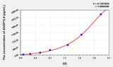 Rat ANGPTL8(Angiopoietin Like Protein 8) ELISA Kit