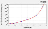 Human ULBP1(UL16 binding protein 1) ELISA Kit