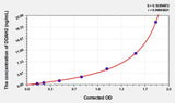 Rat DDAH2(Dimethylarginine Dimethylaminohydrolase 2) ELISA Kit