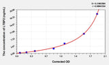 Rat LTBP2(Latent Transforming Growth Factor Beta Binding Protein 2) ELISA Kit
