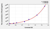 Rat Rock2(Rho Associated Coiled Coil Containing Protein Kinase 2) ELISA Kit