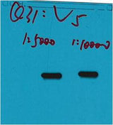 V5-Tag Mouse mAb 50µL/100µL
