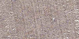 MLKL (phospho Ser358) rabbit pAb