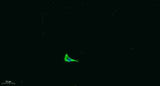COL17A1 rabbit pAb