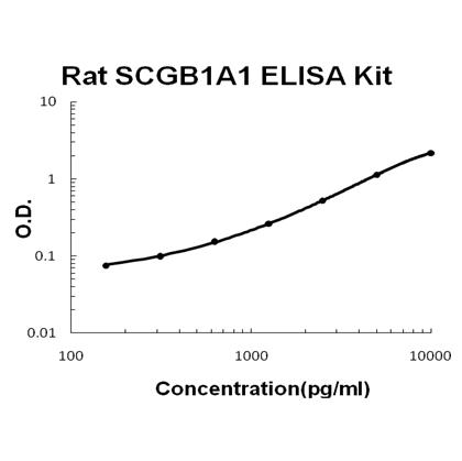Rat SCGB1A1/uteroglobin ELISA Kit EZ-Set™ (DIY Antibody Pairs) Boster Bio