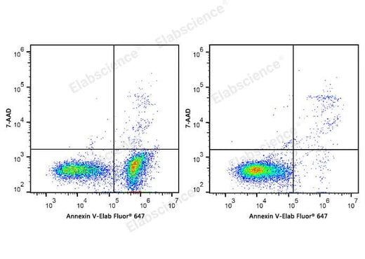 Annexin V-Elab Fluor® 647/7-AAD Apoptosis Kit - ABMIUM