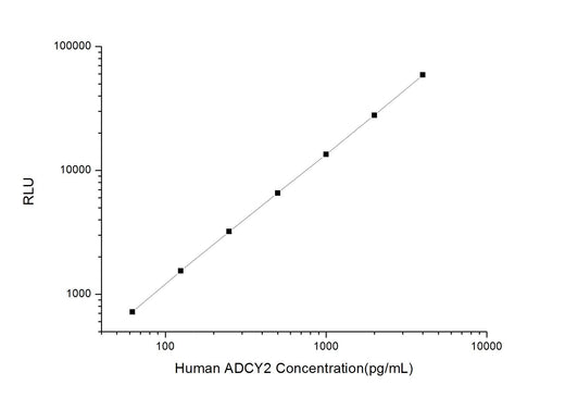 Human ADCY2 (Adenylate Cyclase 2) CLIA Kit - ABMIUM