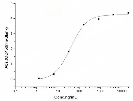 Measured by its binding ability in a functional ELISA. Immobilized human ACE2 protein (Fc tag)(Cat: PKSH031870) at 2 μg/mL (100 μL/well) can bind SARS-CoV-2 (2019-nCoV) Spike RBD(G476S)-His Recombinant Protein (PKSR030533), the EC<sub>50</sub> of SARS-CoV-2 (2019-nCoV) Spike RBD(G476S)-His Recombinant Protein (Cat: PKSR0305198) is 25-60 ng/mL.