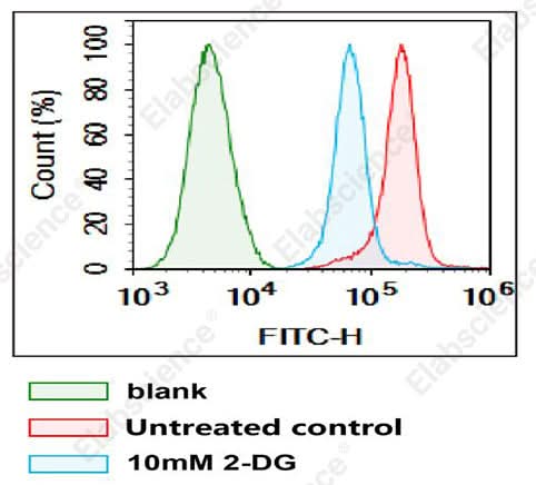 Jurkat cells were incubated and cultured in medium with (10 mM 2-DG (2-Deoxy-D-glucose)) or without 2-DG (Untreated control) for 60 min, washed and then incubated with 2-NBDG Glucose Uptake Assay Kit for 60 min, and flow cytometric detection of The glucose uptake of the cells was detected by flow cytometry. Incubation with 2-DG inhibited the glucose uptake of Jurkat cells.