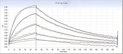 SARS-CoV-2 Coronavirus spike Protein 33244,Loaded ACE2 Protein, Human, Recombinant (mFc Tag) (Cat. No. PKSH031870) on AMC Biosensor, can bind SARS-CoV-2 (2019-nCoV) Spike S1(D614G)-His Recombinant Protein (Cat: PKSR030531) with an affinity constant of 57.7 nM as determined by Octet RED System.
