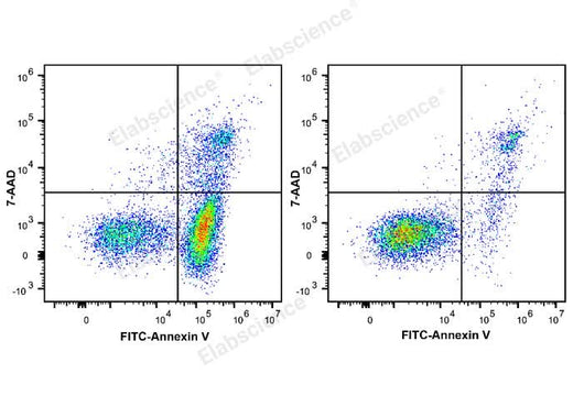 Annexin V-FITC/7-AAD Apoptosis Kit - ABMIUM
