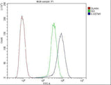 Anti-GSTM1 Antibody Picoband® (monoclonal, 11F2 Boster Bio
