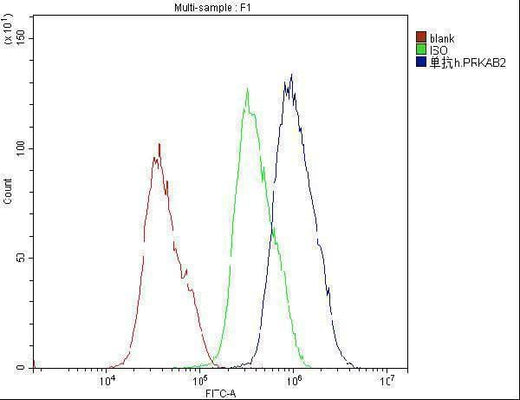 Anti-AMPK beta 2 PRKAB2 Antibody Picoband® (monoclonal, 6G1 Boster Bio