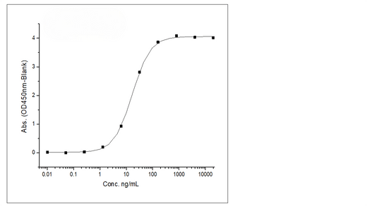 Immobilized Recombinant Rat B7-H3 / CD276 Protein (Fc Tag) (Cat: PKSR030193) at 2 μg/mL (100 μL/well) can bind Anti-B7-H3 Antibody, IgG1 Kappa, the EC<sub>50</sub> is 8.5-25 ng/mL.