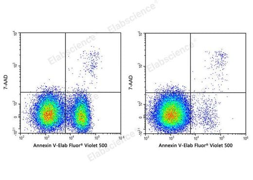 Annexin V-Elab Fluor® Violet 500/7-AAD Apoptosis Kit - ABMIUM