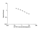ACTb(Actin Beta) ELISA Kit technical data image - Reed Biotech