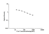 Car(Carnosine) ELISA Kit technical data image - Reed Biotech